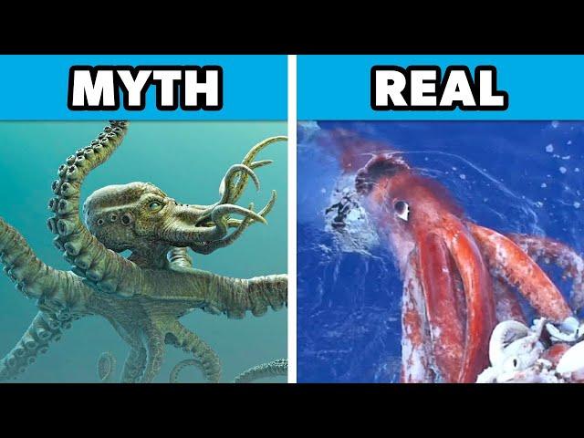 Top 10 Historical Myths That Turned Out to Be True