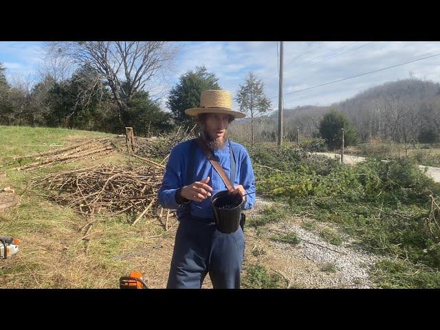 Introducing U-Pick Blackberries at Titus Morris’ Henson Creek Farm! | 12.2024