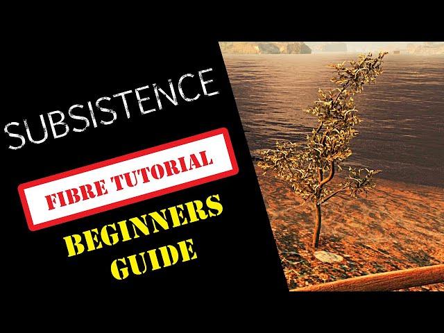 SUBSISTENCE COMPLETE BEGINNERS GUIDE | HOW TO FIND FIBRE | Tutorial / Guide / Tips & Tricks