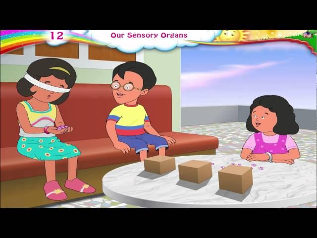 Sensory Organs For Kids | Sensory Organs And Their Functions | Five 5 Senses | Science | Grade 3