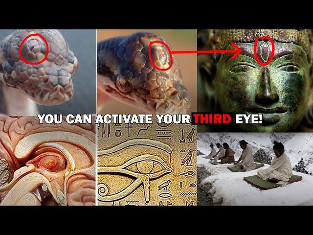 Can You Activate Your Third Eye? The Reality of This Force Lies in Our DNA