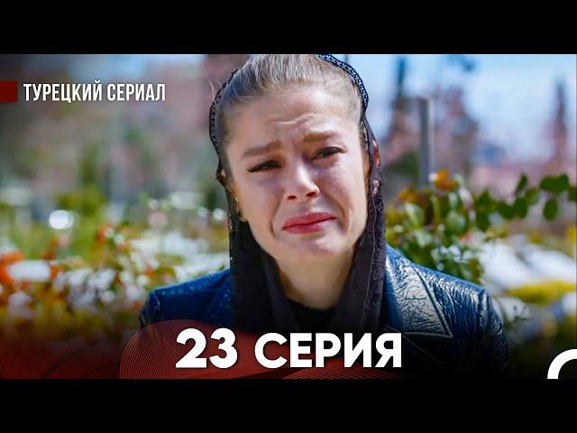 Ворон 23 Серия (русский дубляж) FULL HD