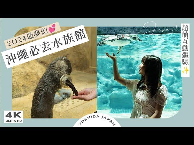 【2024沖繩景點】DMM Kariyushi水族館｜餵水獺體驗、樹懶互動、沖繩水族館、沖繩親子遊、沖繩自由行、沖繩海景咖啡、那霸機場附近｜日本旅遊・沖繩自駕 4K Vlog