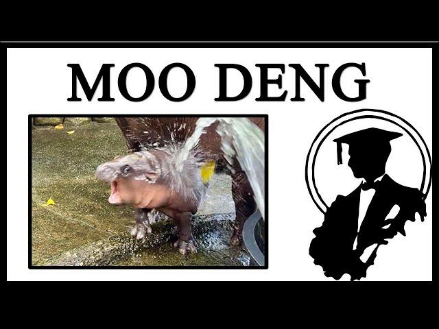 Meet Moo Deng, The Chaotic Baby Hippo