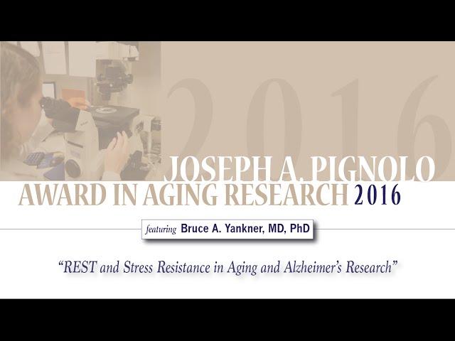 "REST and Stress Resistance in Aging and Alzheimer's Research"