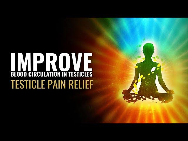 Testicle Pain Relief | Improve Blood Circulation in Testicles | Enhance Your Testicles Health