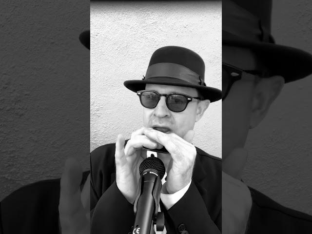 LIVE Performance of Georgia on Harmonica by Jeremy Parks