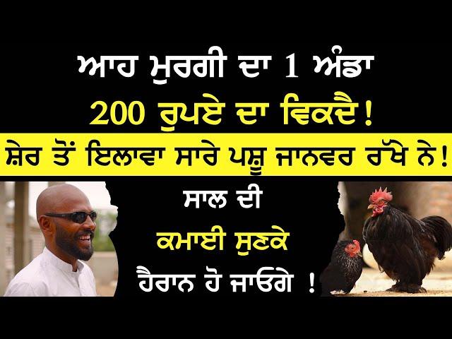 ਆਹ Murgi ਦਾ 1 ਅੰਡਾ 200 ਰੁਪਏ ਦਾ ਵਿਕਦੈ ! ਸਾਲ ਦੀ ਕਮਾਈ ਸੁਣਕੇ ਹੈਰਾਨ ਹੋ ਜਾਓਗੇ ! | Sirlekh