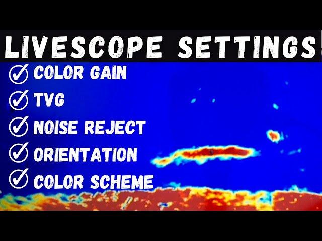 LiveScope Settings UPDATED | Get a CLEAR Picture (Garmin LiveScope Plus LVS34)