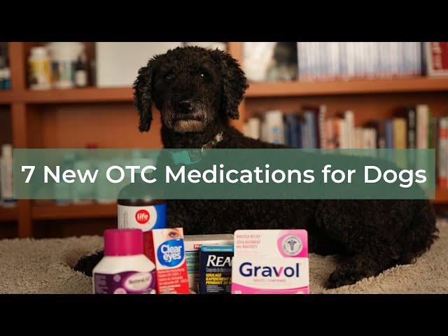 7 New OTC Medications for Dogs