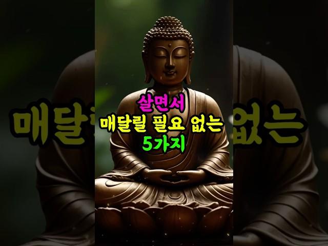 #부처님말씀 #법륜스님#자기수행 #명언 #인생조언 #불교명상 #삶의지혜