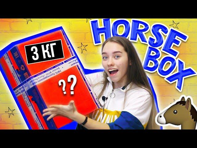 Распаковка HORSE BOX!  Одежда и украшения для конников