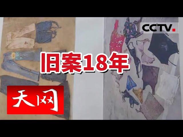 《天网》女子失踪多年 最后发现时尸体已高度腐烂在密码箱里 20231023 | CCTV社会与法