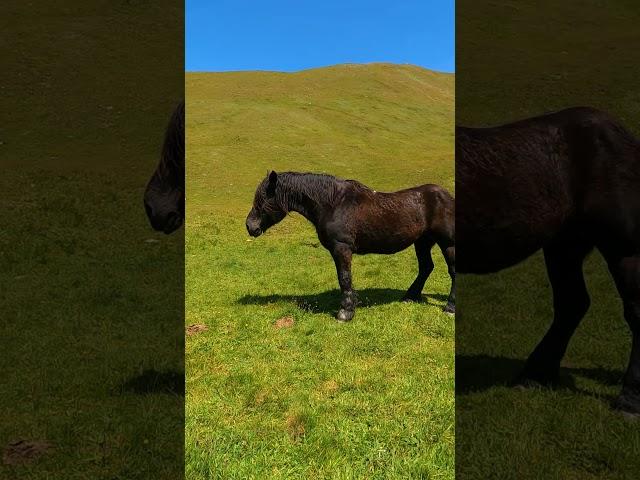 Salita al Bivacco Corradini e alla cima Dormillouse!