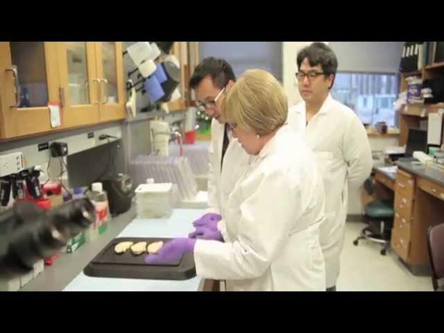 University of Pennsylvania Alzheimer's Disease Core Center Virtual Tour