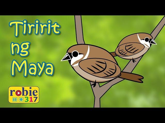 Tiririt ng Maya | Filipino/Tagalog Folk Song | robie317