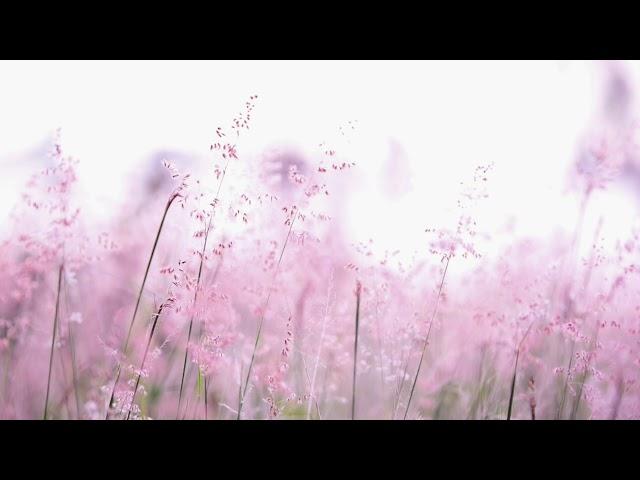 Guidad Meditation om att ge kärlek till sig själv