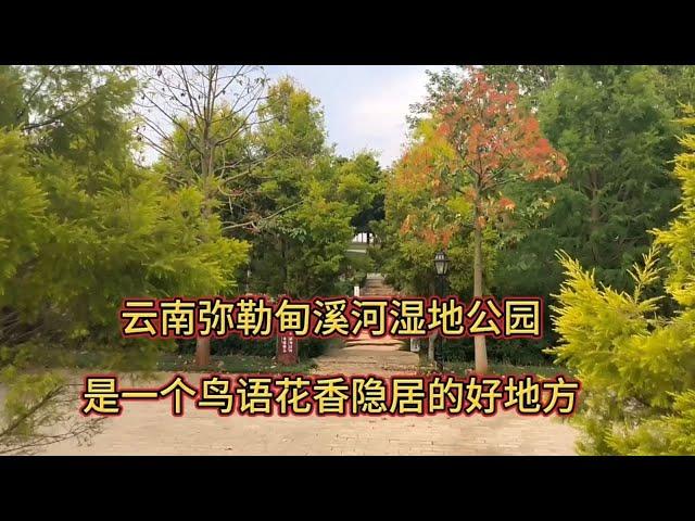 云南弥勒甸溪河湿地公园，这里鸟语花香，是一个隐居的好地方。