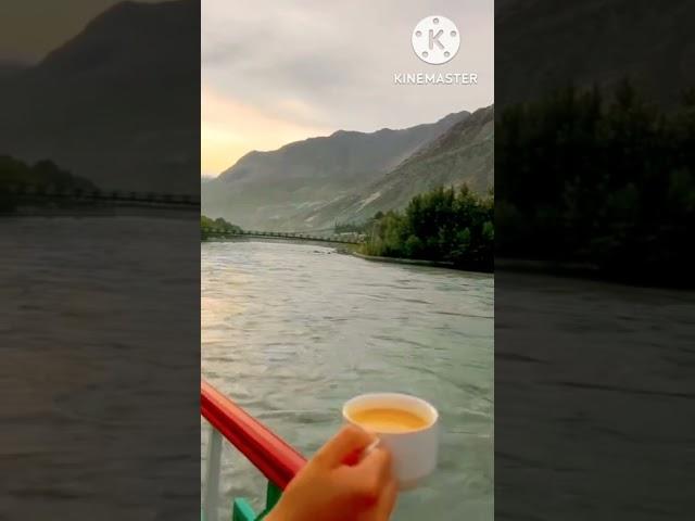 tea lover #shorts #youtubeshorts #shortvideo #viralshorts #tealover