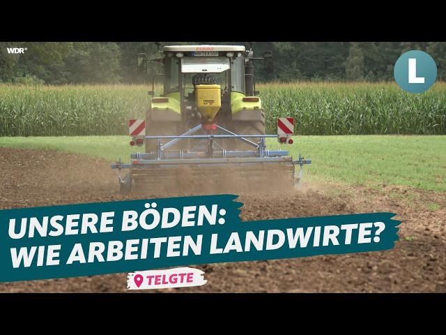 Der große Vergleich: Regenerative Landwirtschaft vs. Grubbern | WDR Lokalzeit Land.Schafft.