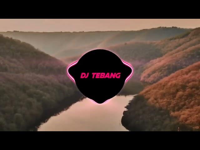 DJ STEREO LOVE KANE X KAMU SELINGKUH LAGI VIRAL TIKTOK 2022DJ TEBANG