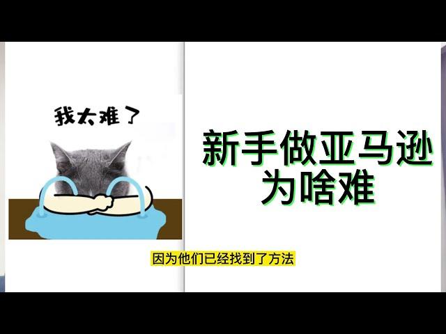 要想赚50万，最少先赔20万,做亚马逊为什么那么难？为什么大多数新手卖家都会失败？