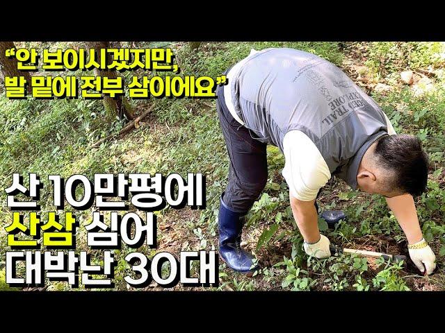 산 10만평에서 산삼 키워 연 10억 매출 만든 30대 대표의 하루 [임산물거래소]ㅣ휴먼스토리ㅣ직업의모든것ㅣ골라듄다큐ㅣ인간극장ㅣ생활의달인ㅣ돈버는사람들ㅣ귀농의신ㅣ심마니ㅣ탐구생활