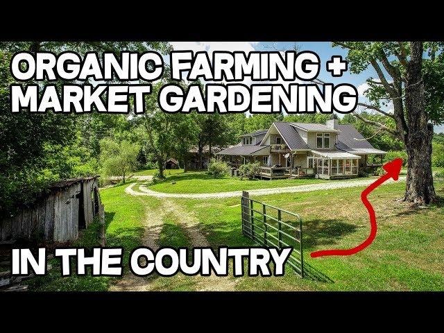 Growing Your Own Food: Mastering Sustainable Farming in Kentucky