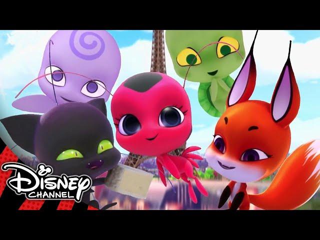 Miraculous Ladybug | Meet the Kwamis! | Disney Channel UK