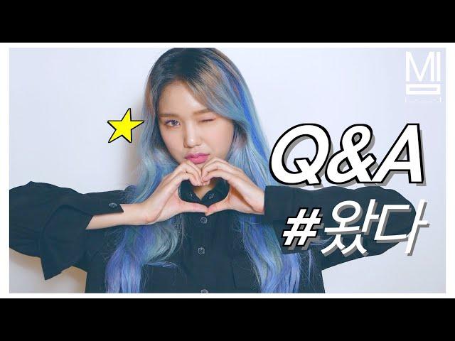 [밈PD | MIMPD]20만공약 Q&A 보시죠. (늦어서ㅈㅅㅈㅅ...ㅎ)