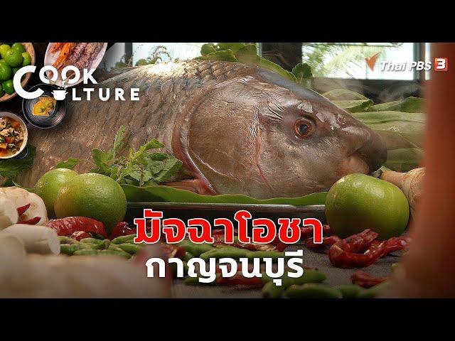 มัจฉาโอชา กาญจนบุรี | Cook Culture