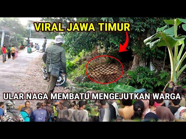 Viral  Ditemukan ular naga membatu ratusan tahun di pegunungan yang menggemparkan warga