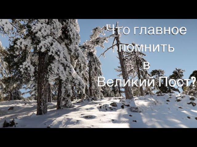 Советы старца: Важно не успеть узнать многое - а успеть понять что самое главное