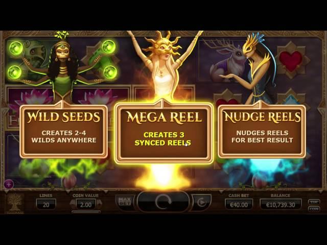 Nirvana Video Slot - Yggdrasil Gaming