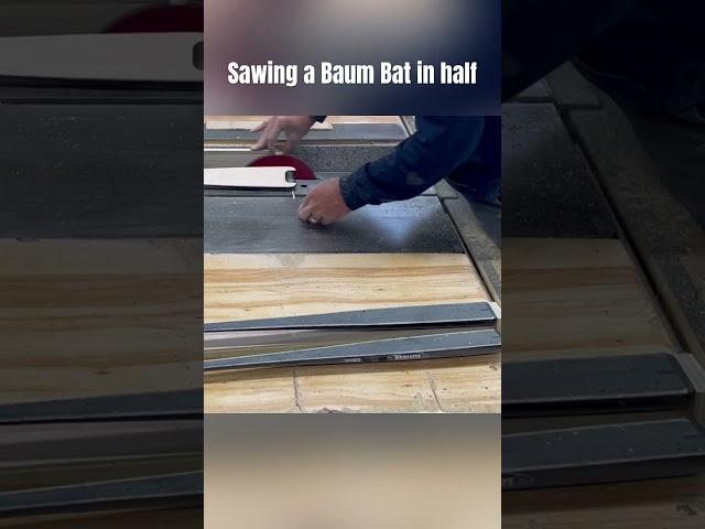 Sawing a Baum Bat in half (wood composite)