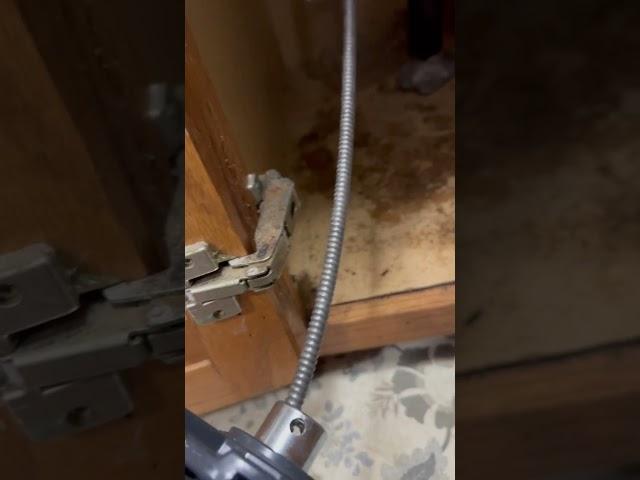 Kitchen sink drain cleaning #drain @drainbrain12 #sink #draincleaning #plumbing #plumbingvideos