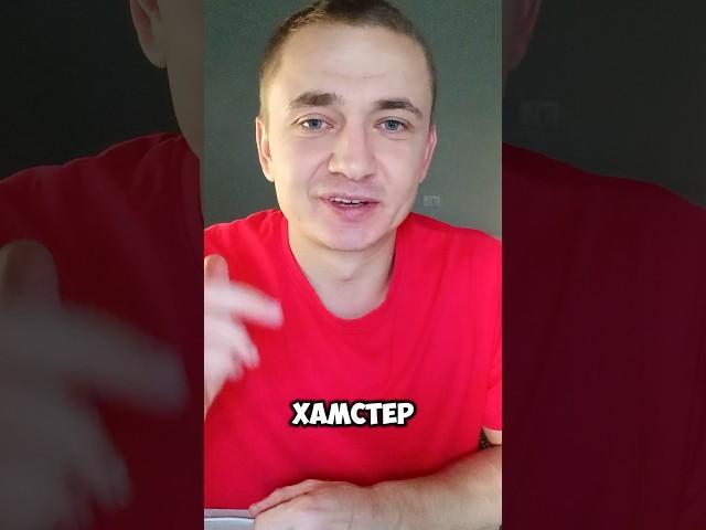 Листинг Hamster Kombat #crypto #хомяк #airdrop