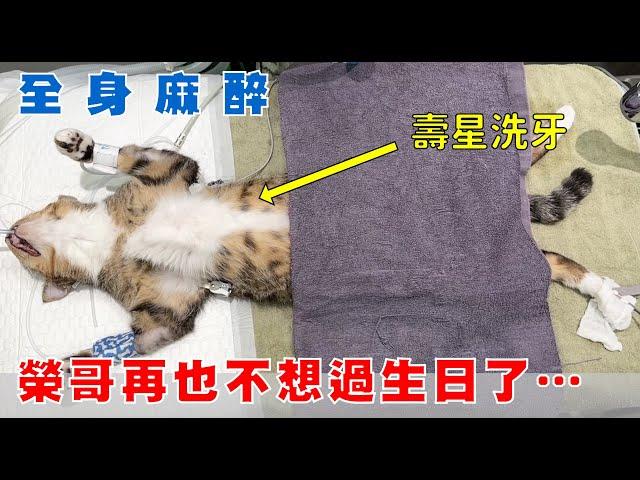 【豆漿 - SoybeanMilk】榮哥從此再也不想過生日了