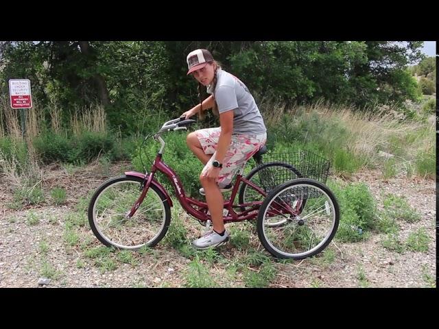 Schwinn Meridian Trike