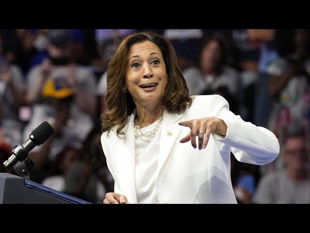 ‘Serious’: Kamala Harris being ‘abandoned in droves’ by key demographic groups