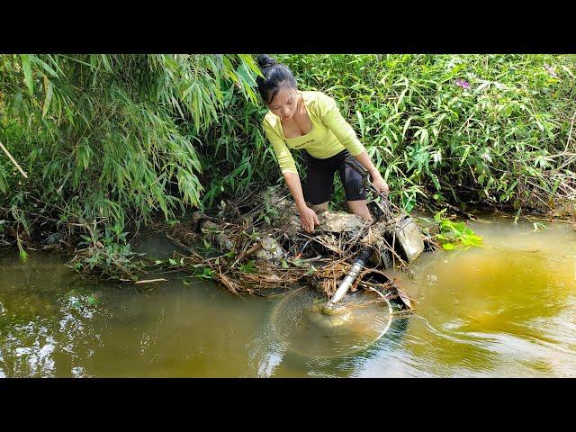 Restoring a Waterlogged Motorbike - Unbelievable Transformation! | Mechanic girl