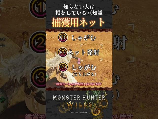 知らない人が意外と多い効率重視の捕獲用ネット【モンハンワイルズ】【ネタバレ注意】【初見攻略】【昏咲ネイ】【Steam版】