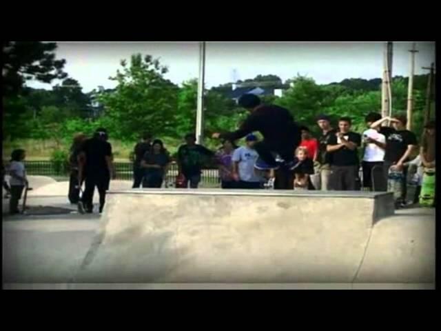 Skate: lips and mini ramp tricks