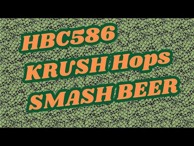 What do Krush Hops Taste like?  SMASH Beer Experiment - Brew Dudes