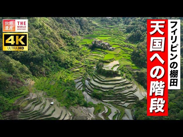 【4K】絶景の棚田！天国への階段・・・　Cordillera Mountains, Philippine.