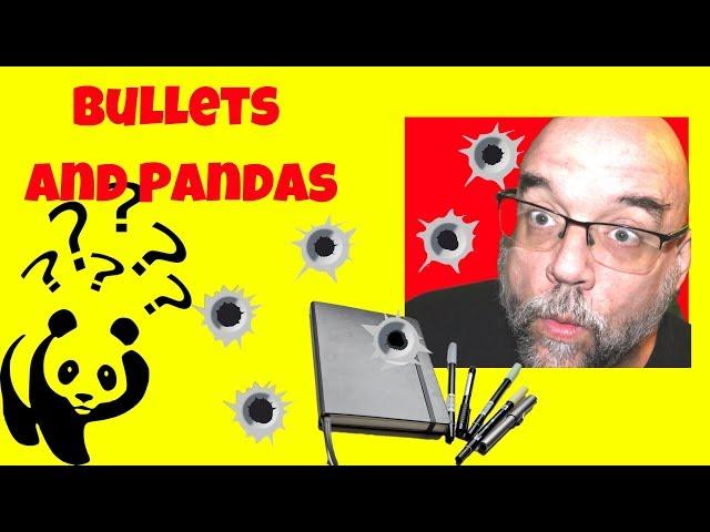 Bullets and Pandas: Panda journal vs Bullet journal