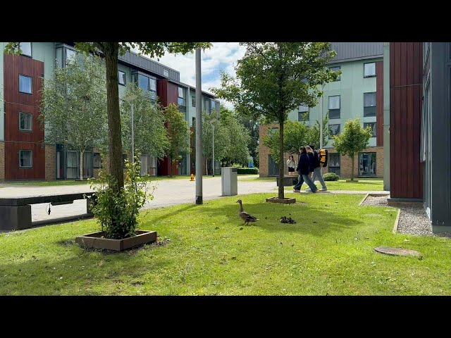 Accommodation | Grizedale College (Lancaster University)