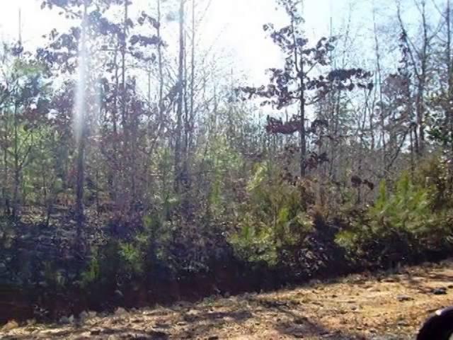 Homes for Sale - 0 Sandy Brook Circle Lot 7 Blk B Thomaston GA 30286 - Edward Phillips