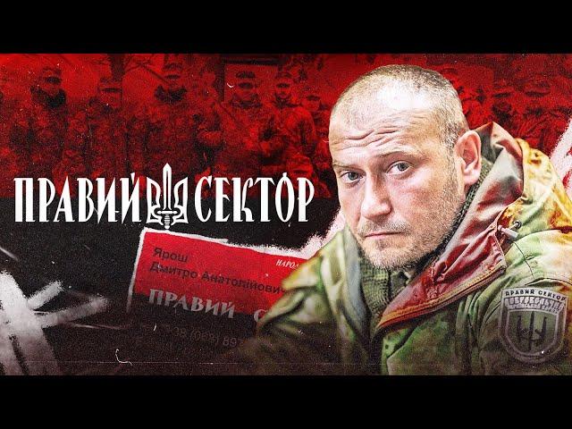 Історія «Правого сектору». Чому їх так бояться росіяни?