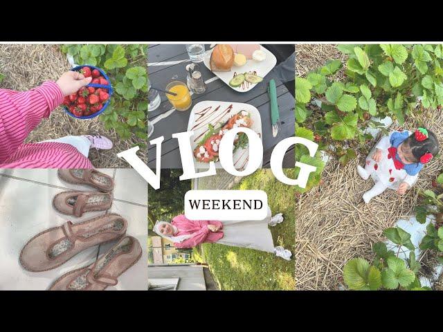 SHEIN Baby Haul | Reserved Shopping | Erdbeeren sammeln | Weekend Vlog | Hijabflowers